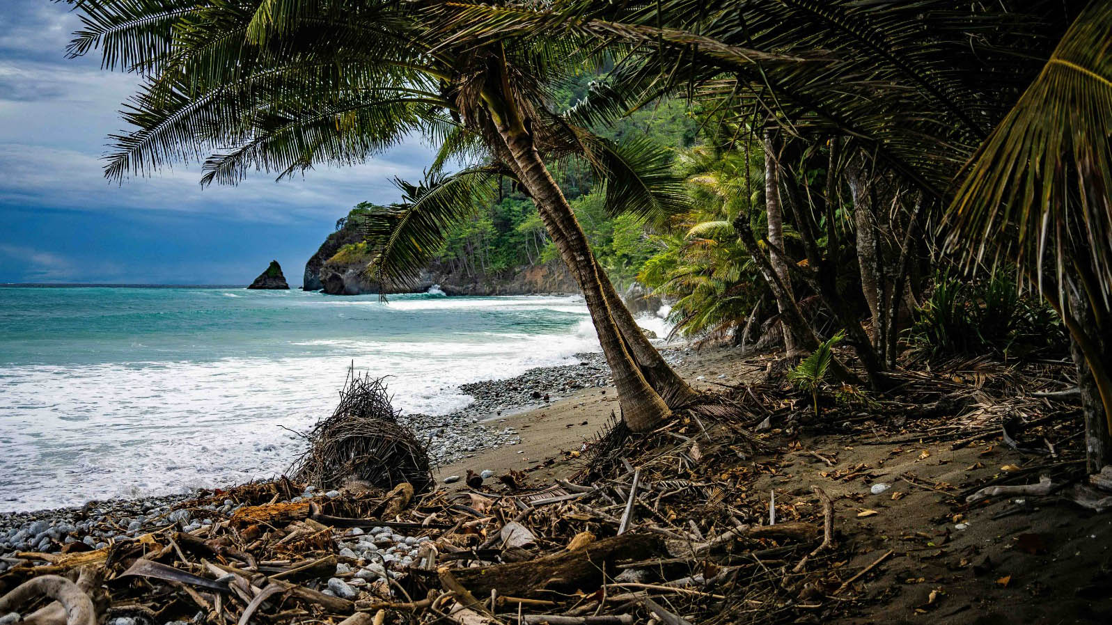 Osa Peninsula Real Estate