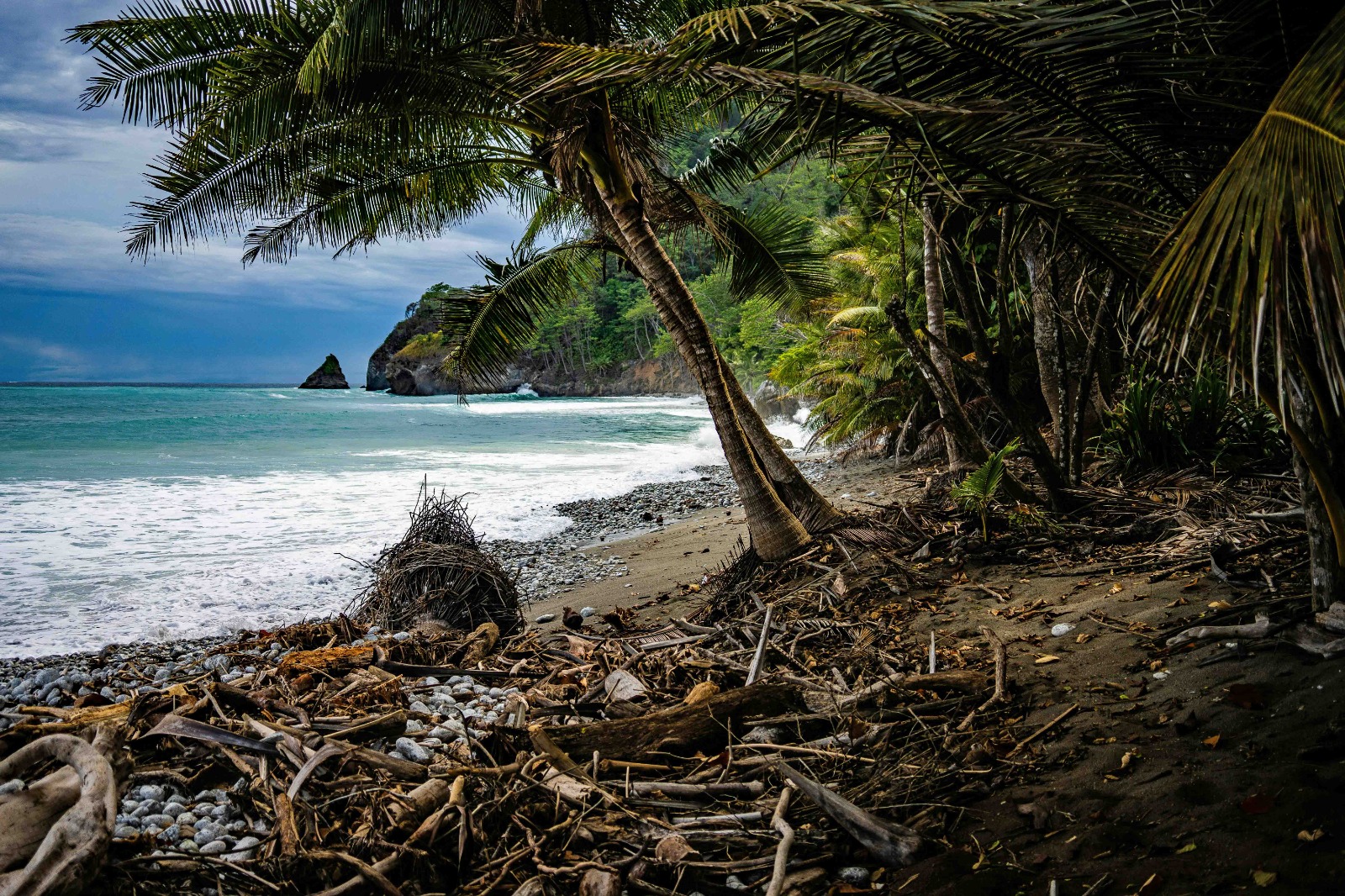 Osa Peninsula Real Estate